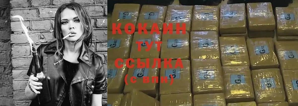гашик Магас