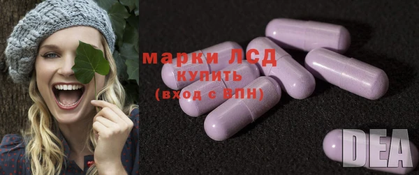 хмурый Лагань