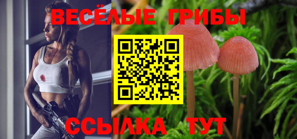 Тихорецк  Псилоцибиновые грибы Magic Shrooms  Вход с VPN  Галлюциногенные грибы мухоморы 