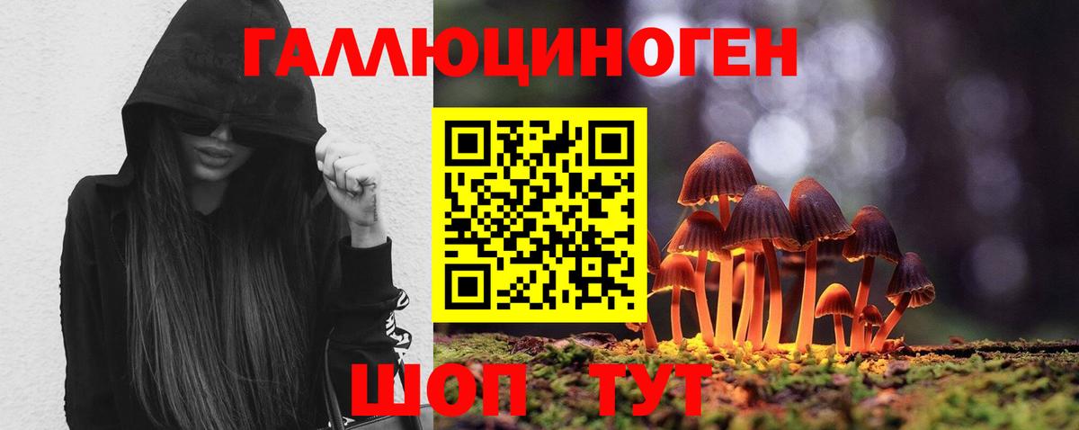 Галлюциногенные грибы Magic Shrooms Тихорецк