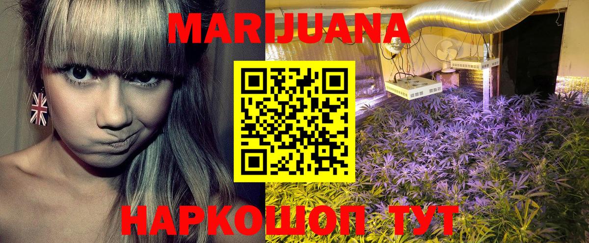 Канабис сатива Тихорецк